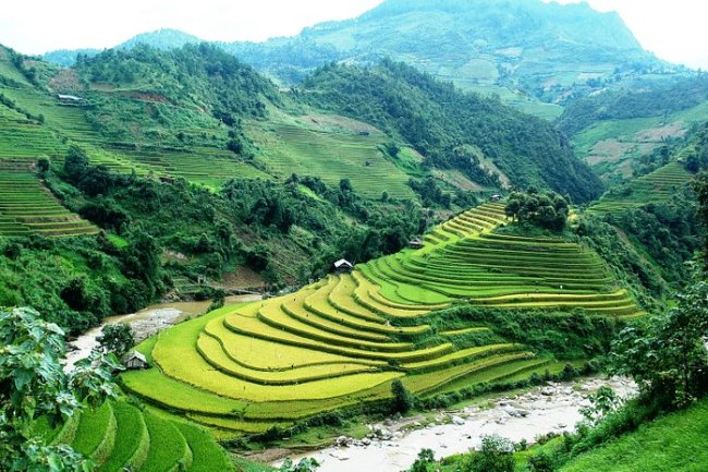 DOĞANIN KUCAĞINDA BÜYÜLEYİCİ BİR YOLCULUK: MU CANG CHAI